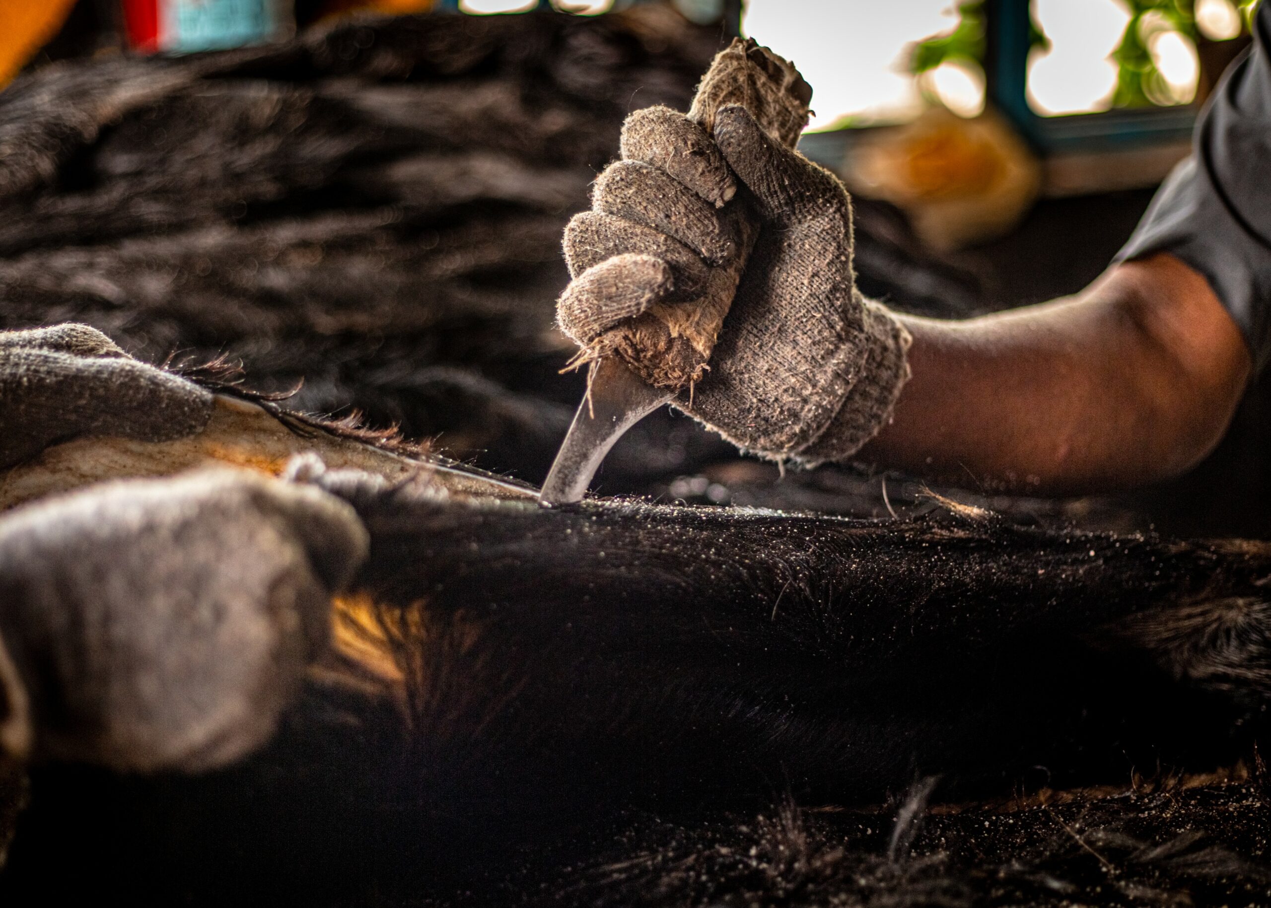 0D3A7960 https://www.sscgrp.in/wp-content/uploads/2022/01/0D3A7960-scaled.jpg