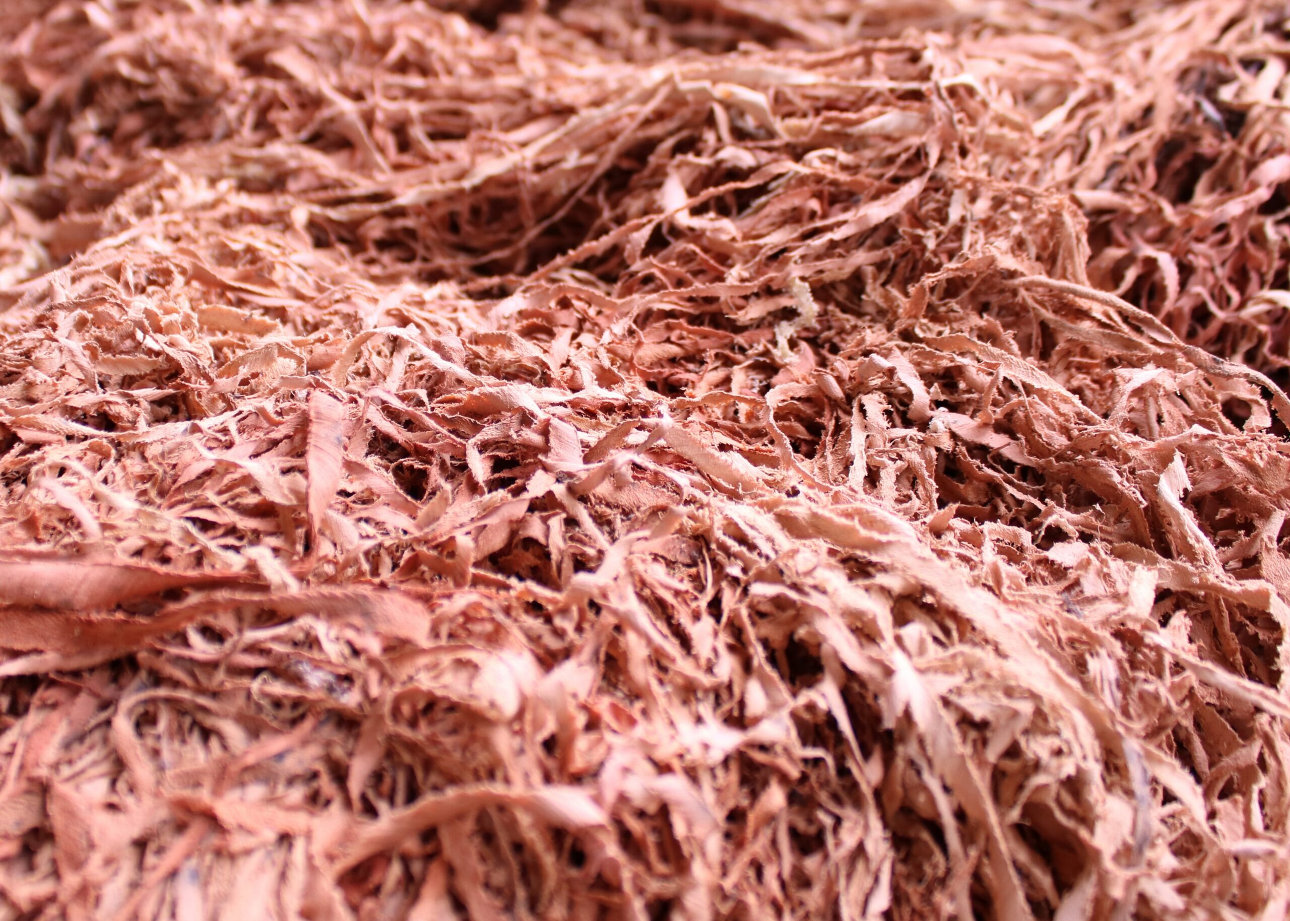 IMG_1576 https://www.sscgrp.in/wp-content/uploads/2022/01/IMG_1576-scaled.jpg