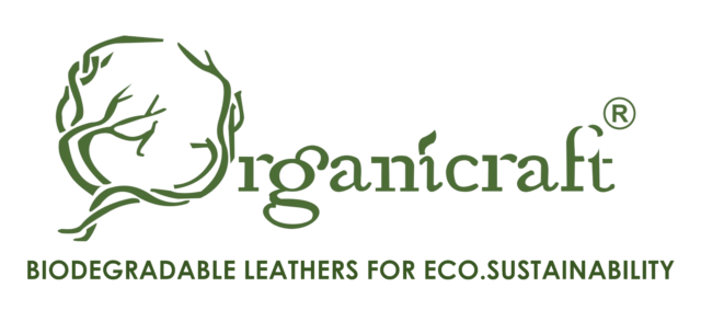 Untitled_1__-_Copy-removebg https://www.sscgrp.in/wp-content/uploads/2022/01/Untitled_1__-_Copy-removebg-640x304.png