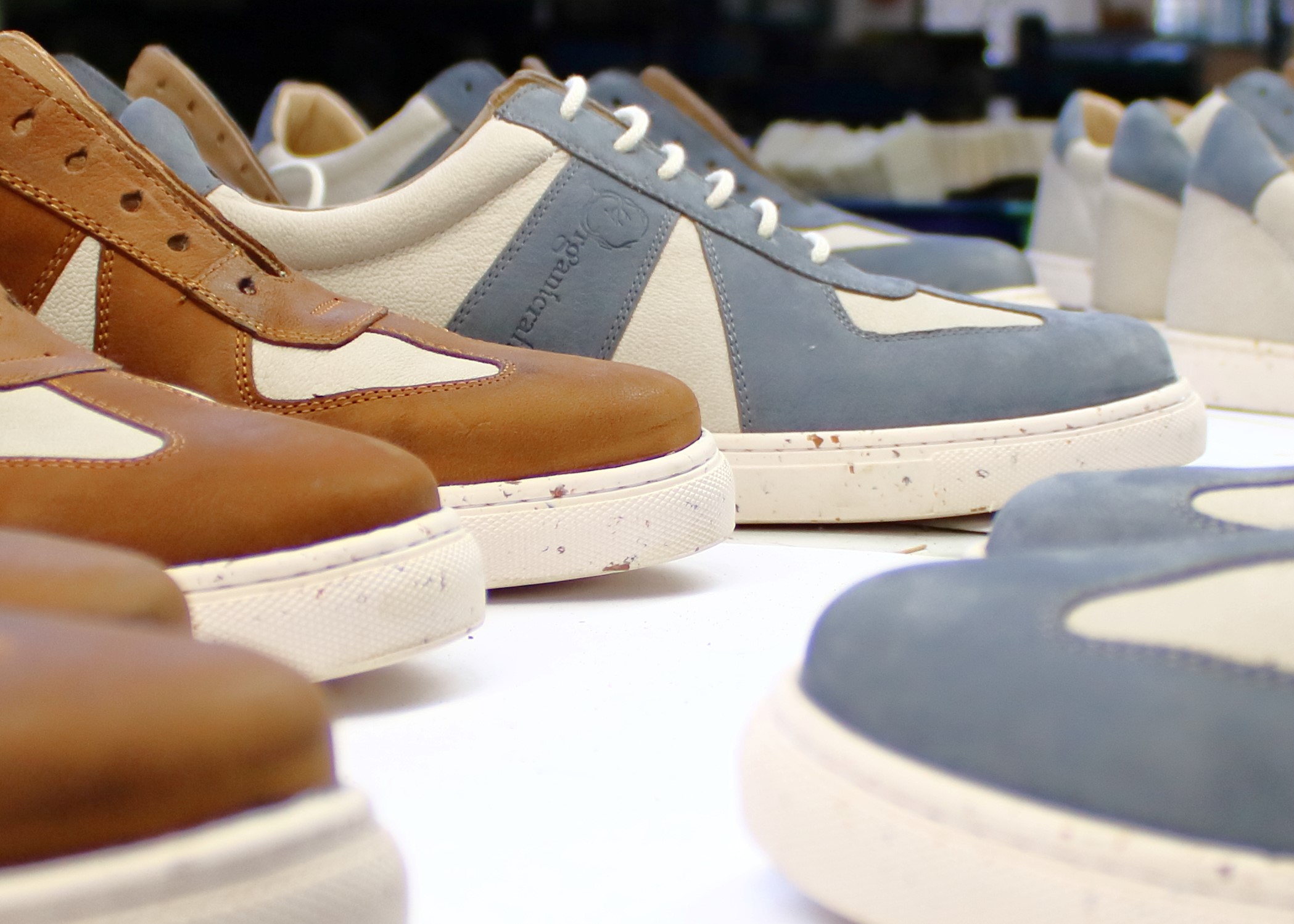 IMG_2993 https://www.sscgrp.in/wp-content/uploads/2022/04/IMG_2993.jpg